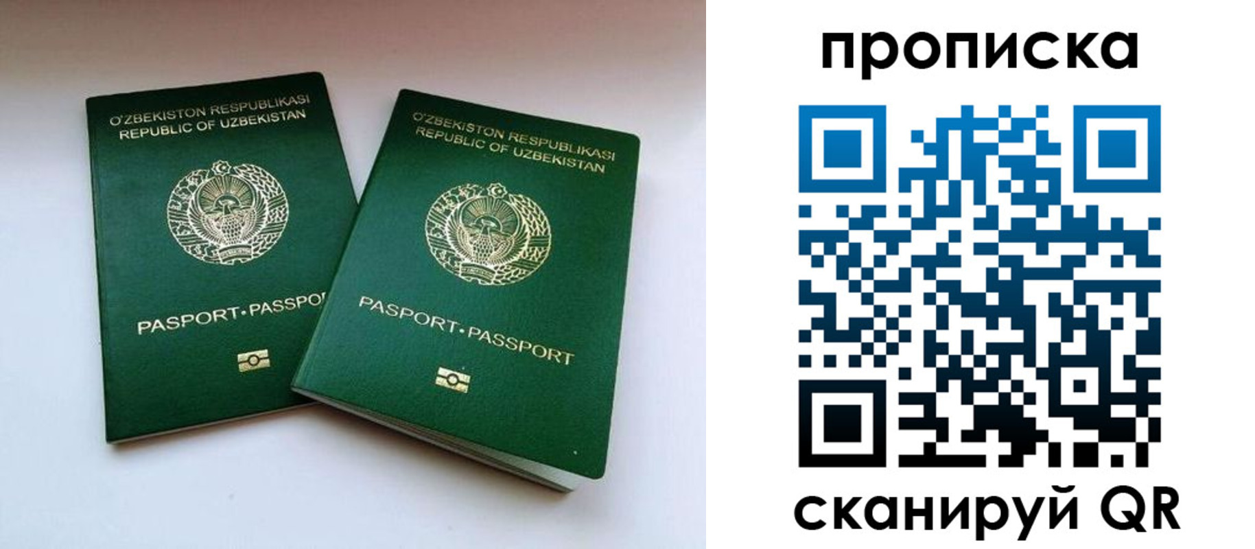 прописка поиск в Белореченске